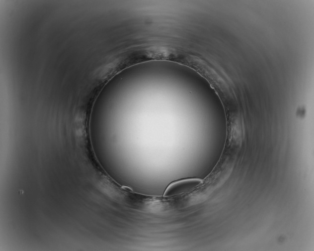 X0000102790616200808181301