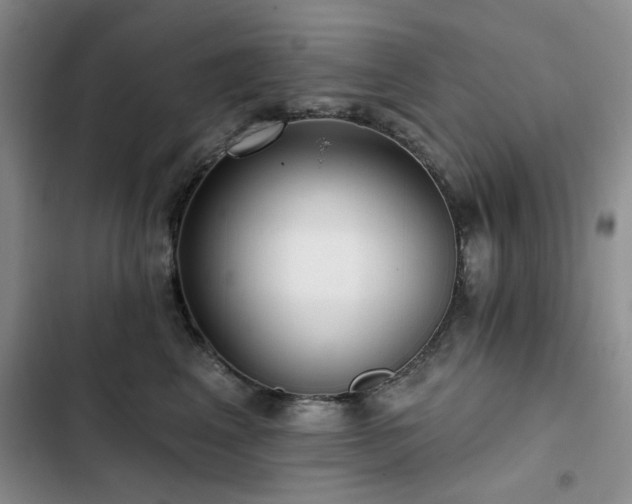 X0000102790617200808181301