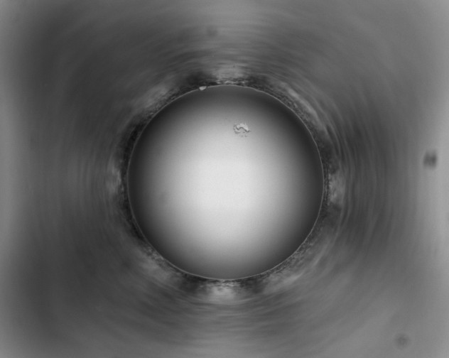 X0000102790618200808181301