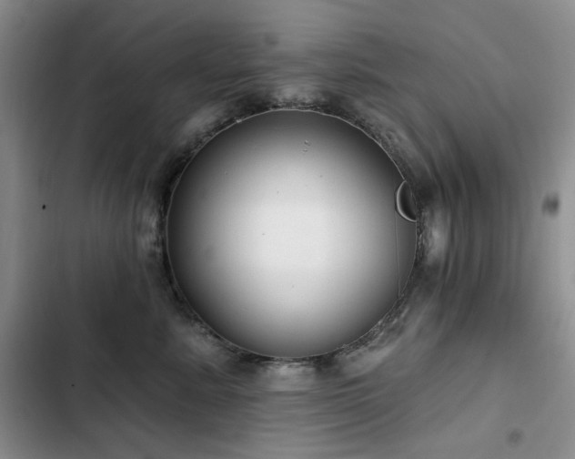 X0000102790619200808181301