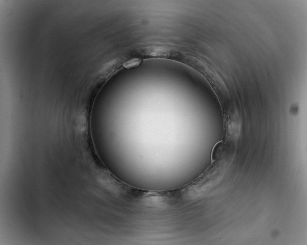 X0000102790620200808181301