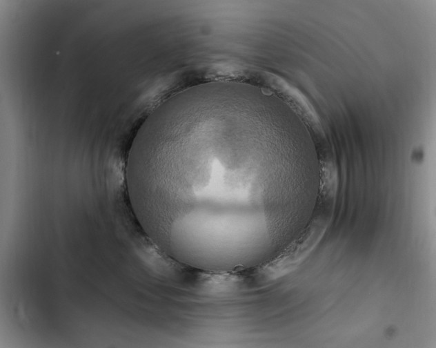 X0000102790621200808181301