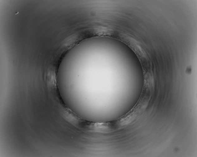 X0000102790622200808181301