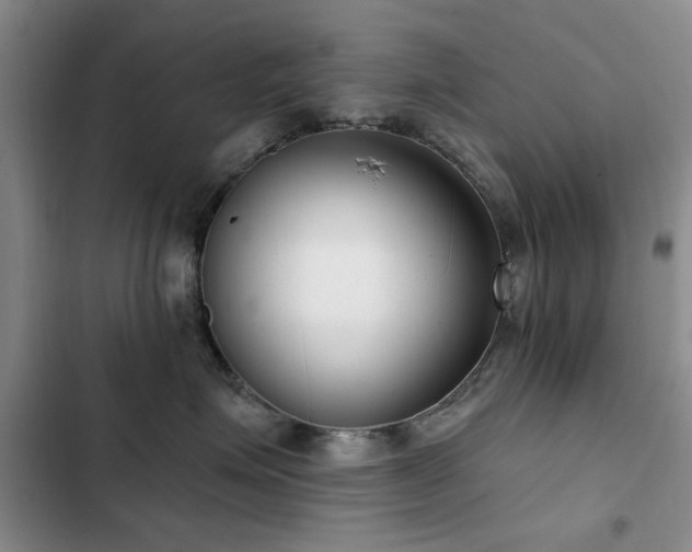 X0000102790623200808181301