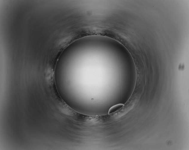 X0000102790624200808181301