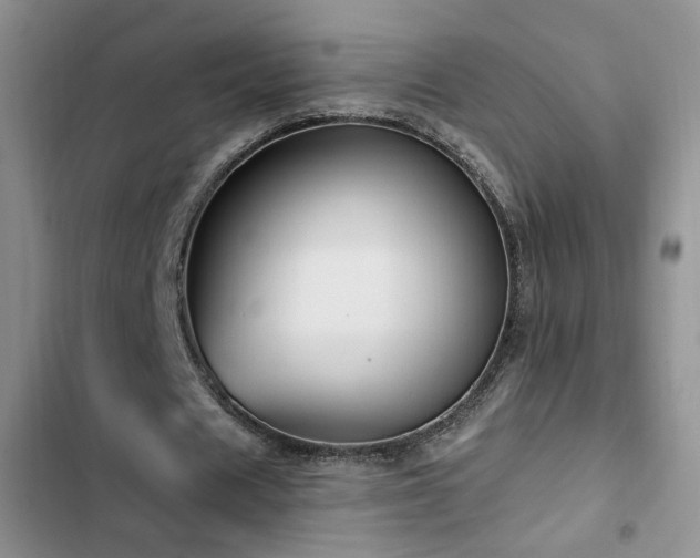 X0000102790625200808181300