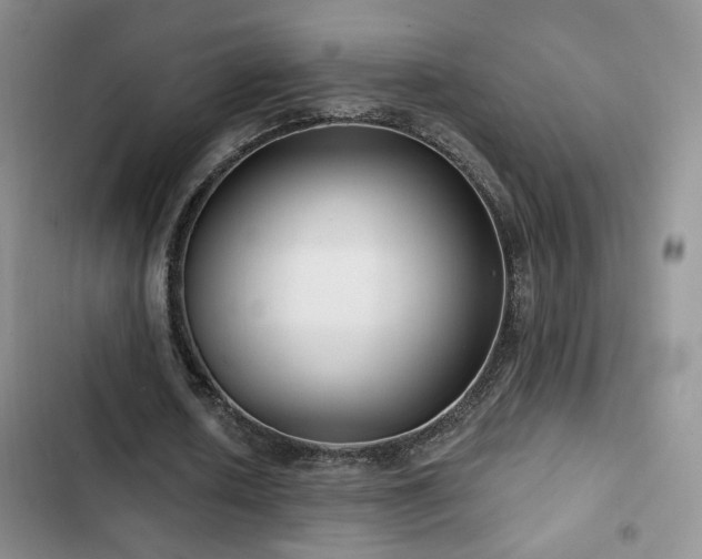 X0000102790626200808181300