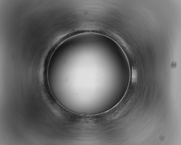 X0000102790627200808181300
