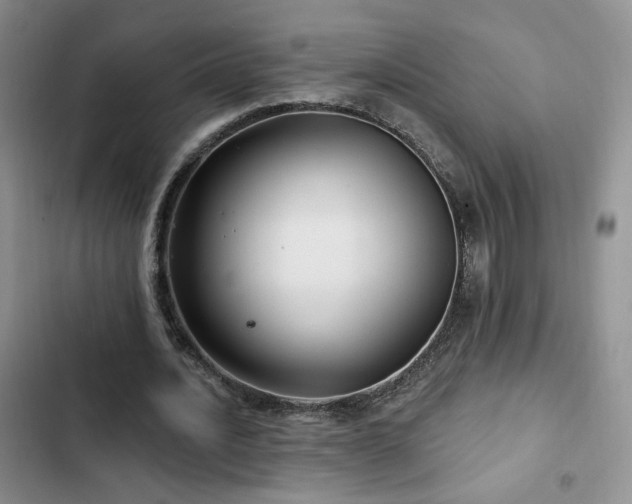 X0000102790628200808181300