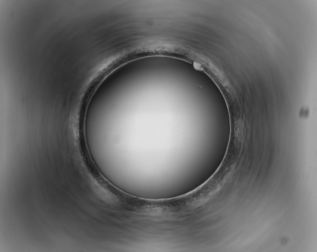X0000102790629200808181300