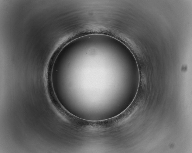 X0000102790630200808181300