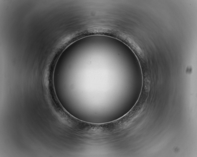 X0000102790631200808181300