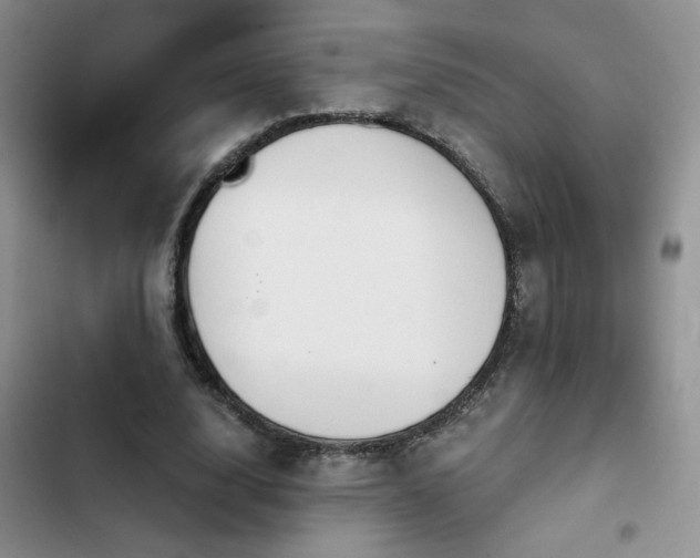 X0000102790632200808181300