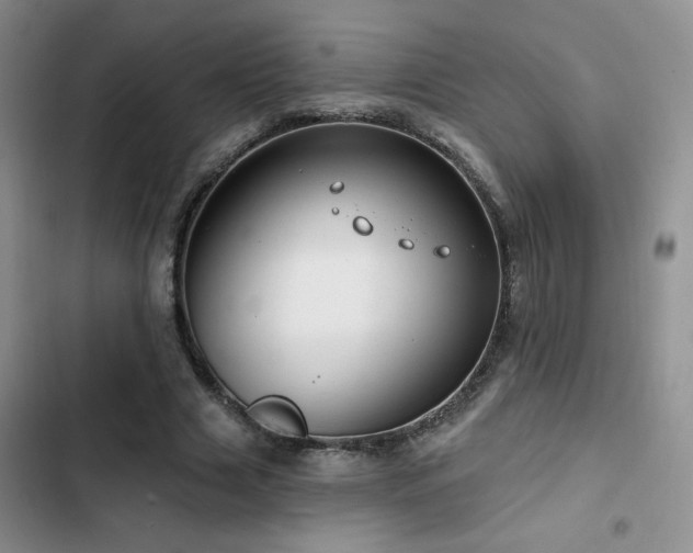 X0000102790633200808181300