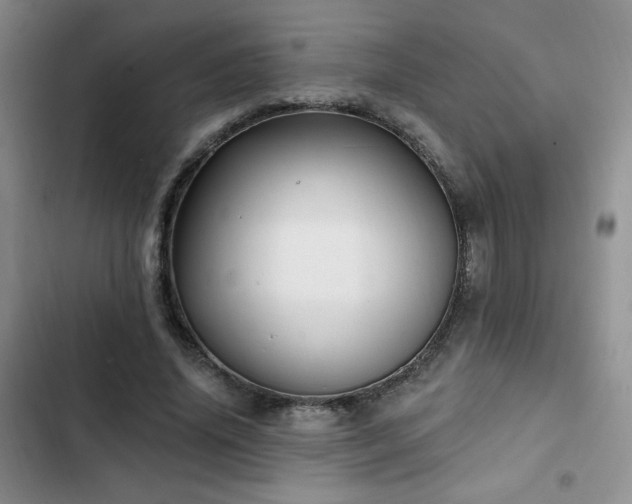X0000102790636200808181300