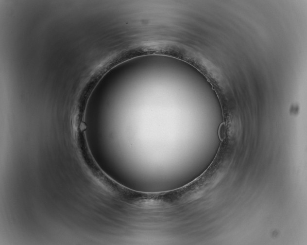 X0000102790637200808181300