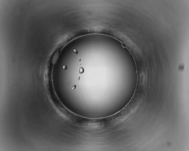 X0000102790638200808181300