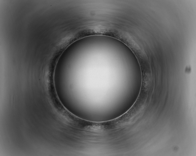 X0000102790639200808181300