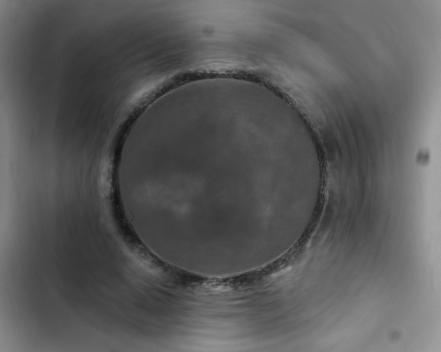 X0000102790640200808181300