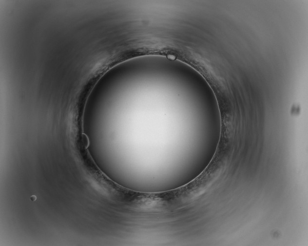 X0000102790642200808181300