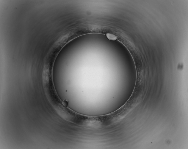 X0000102790644200808181300