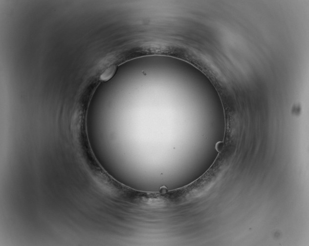 X0000102790645200808181300