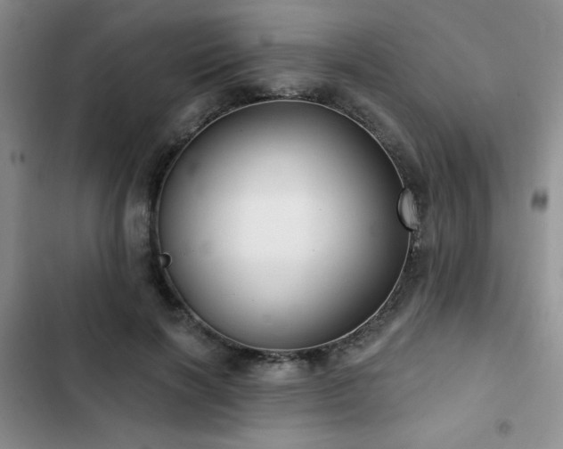 X0000102790646200808181300
