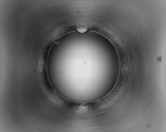 X0000102790647200808181300