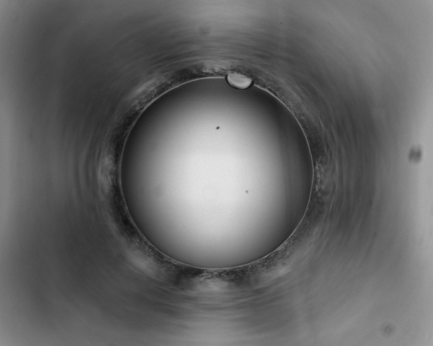 X0000102790648200808181300