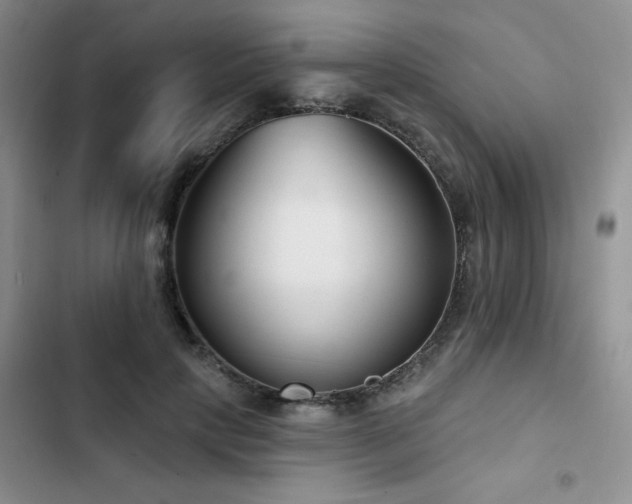 X0000102790649200808181300