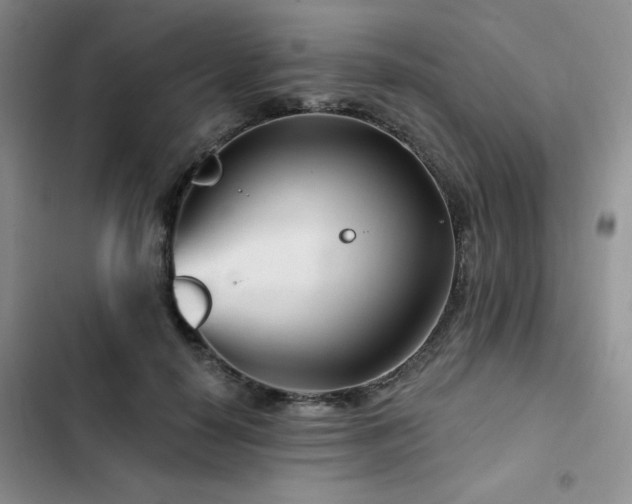X0000102790650200808181301