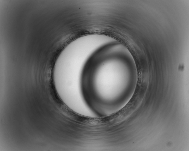 X0000102790652200808181301