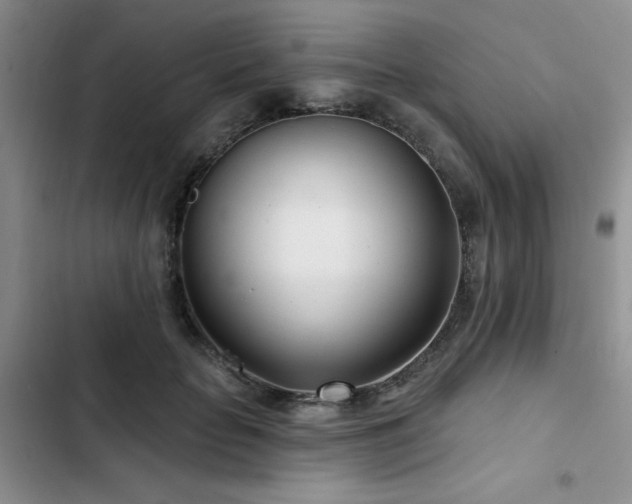 X0000102790653200808181301