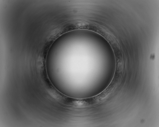 X0000102790654200808181301