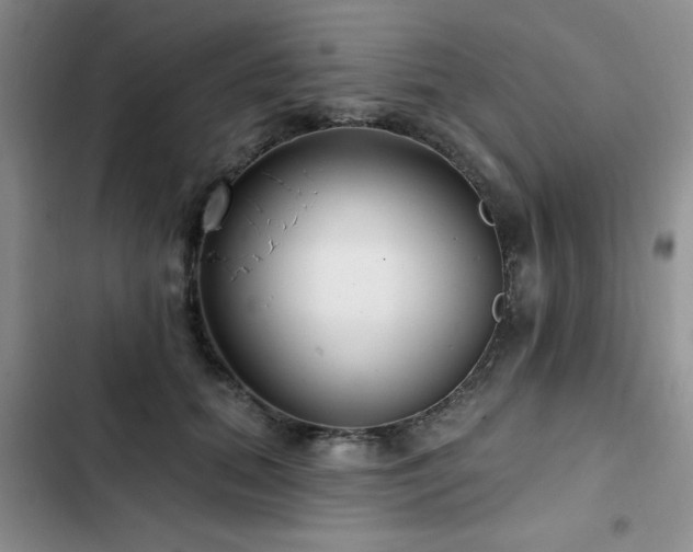 X0000102790655200808181301