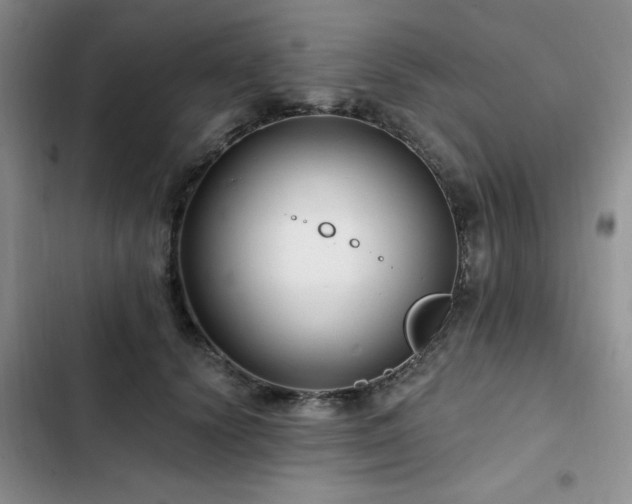 X0000102790656200808181301