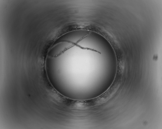 X0000102790657200808181301