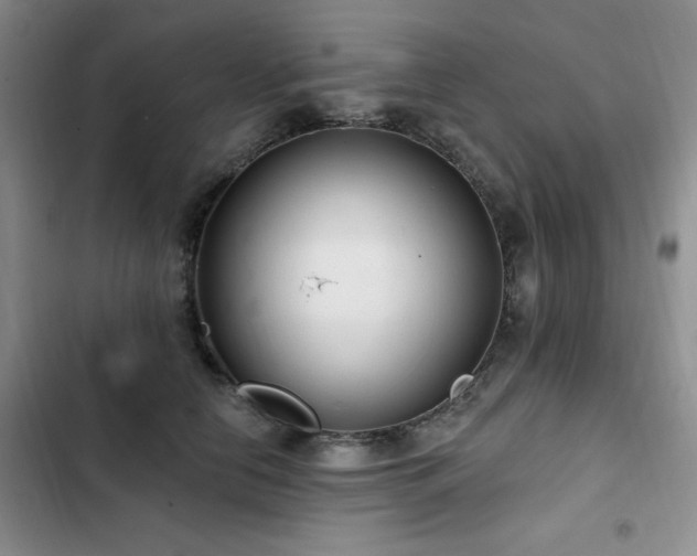 X0000102790658200808181301