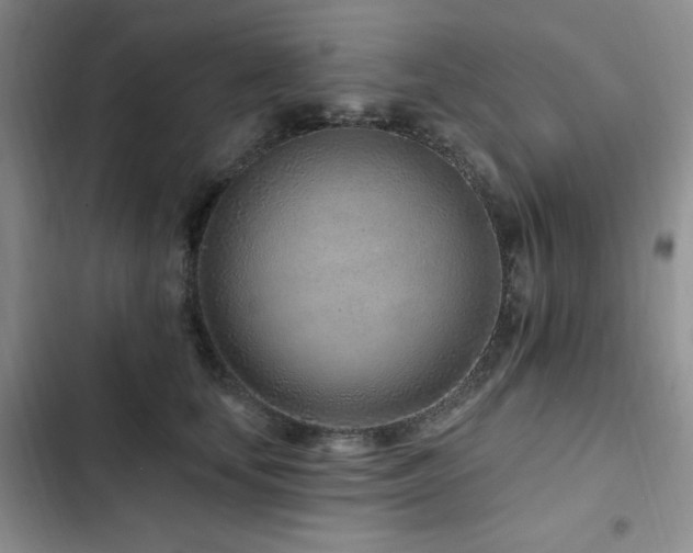 X0000102790659200808181301