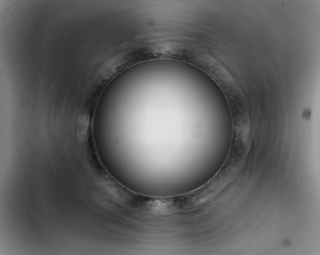 X0000102790660200808181301