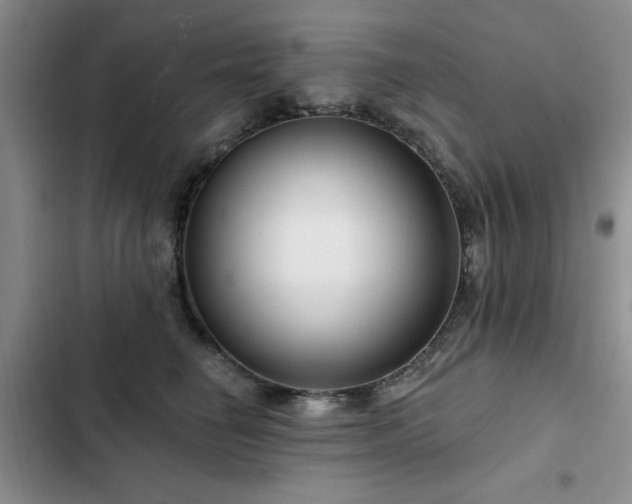 X0000102790662200808181301