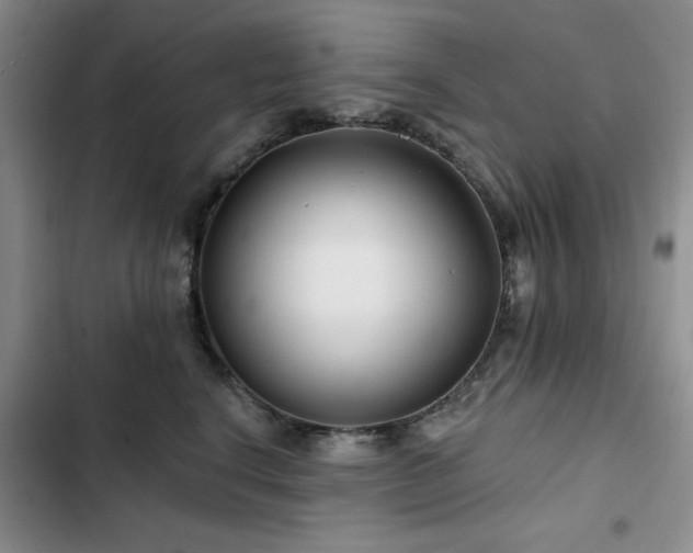 X0000102790664200808181301