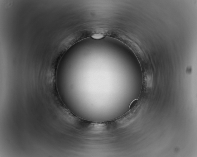 X0000102790665200808181301