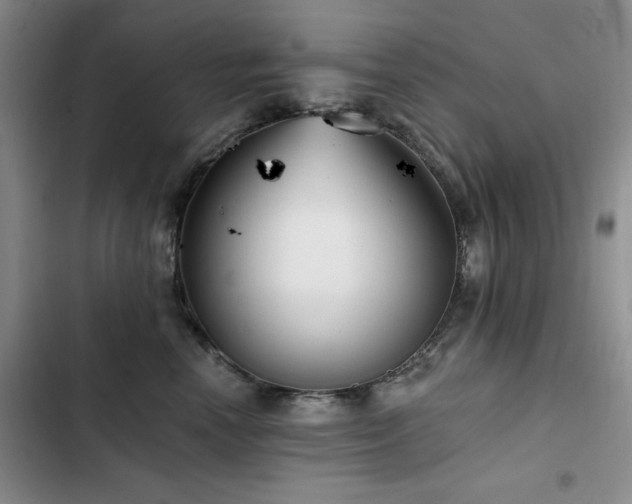 X0000102790666200808181301