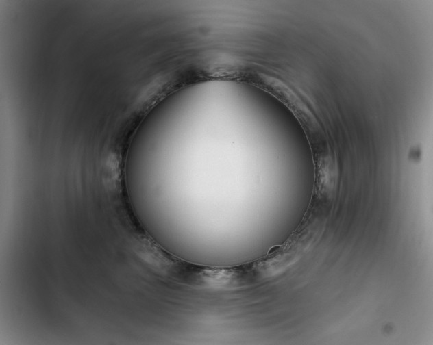 X0000102790667200808181301