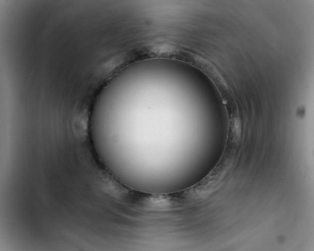 X0000102790668200808181301