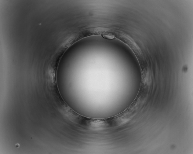 X0000102790669200808181301