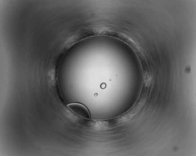 X0000102790670200808181301