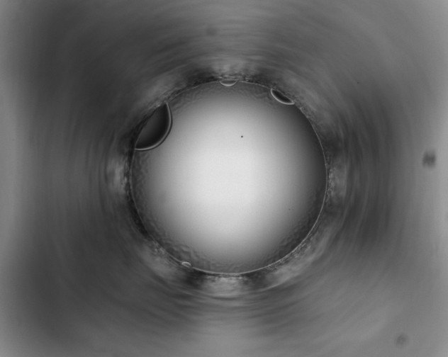 X0000102790671200808181301