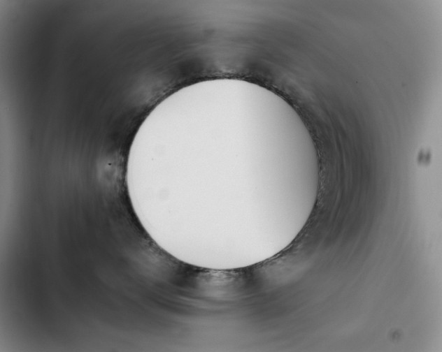 X0000102790672200808181301